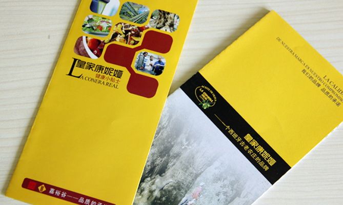 宣傳單頁/宣傳折頁